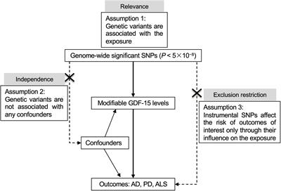 Growth Differentiation Factor 15 Is Associated With Alzheimer’s Disease Risk